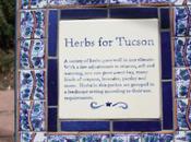 Traveling To…Tucson Botanical Gardens