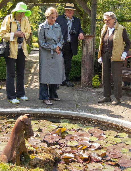 Photo of people looking at wire fox terrier on water feature.