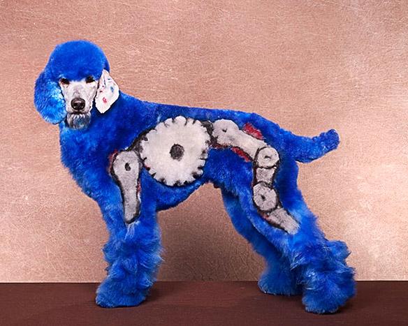 Enter the Unusual World of EXTREME DOG Grooming!