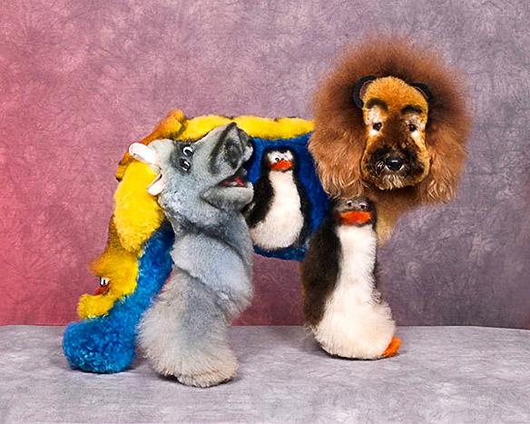 Enter the Unusual World of EXTREME DOG Grooming!