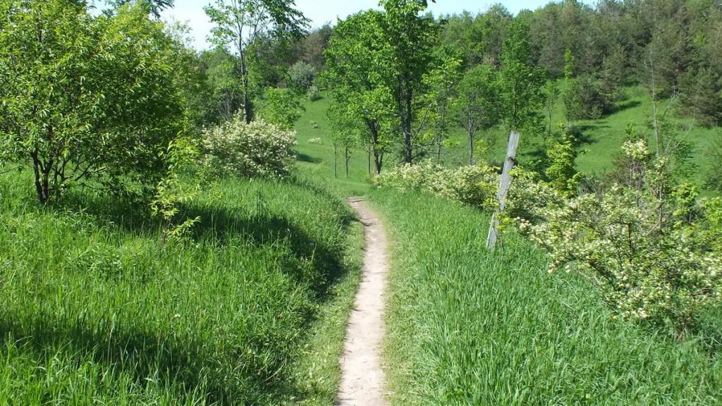 meadow hiking trail - forks of the credit provincial park -  caledon - ontario
