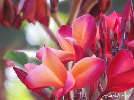 Relish The Challenge part 3