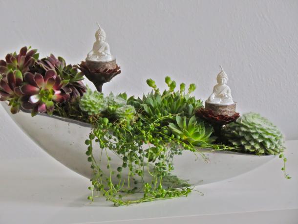 succulent centerpiece