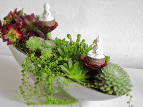 succulent centerpiece