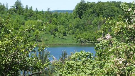 green hillside above kettle lake - forks of the credit provincial park - ontario