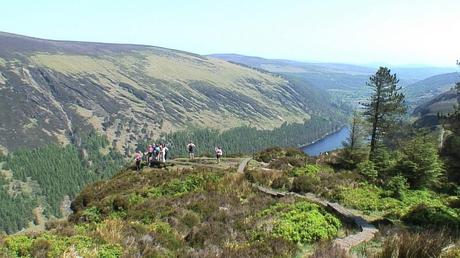 lookout - the spinc hiking trail - wicklow mountains national park - ireland