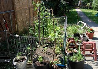 Thrifty Thursday: Our Organic Garden (Update)