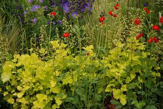 Looking at show gardens can be like a spaghetti western