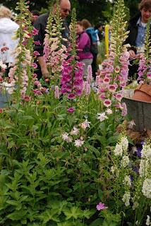 Looking at show gardens can be like a spaghetti western