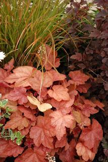 Looking at show gardens can be like a spaghetti western