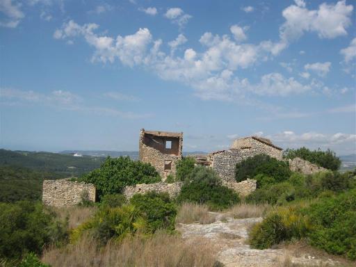 Abandoned farms, would love to have one of these!