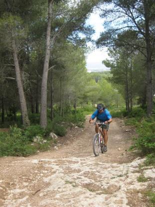 Dirt road prevailed and forest surrounded us.