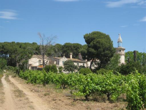 We stumbled upon this lovely 'finca' (farm).