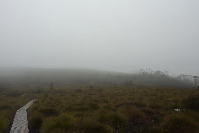 mist and rain overland track tasmania