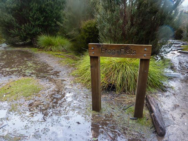 wet and muddy frog flats overland track