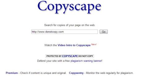 Copyscape Webiste logo with white background