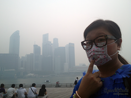 The Haze in Singapore