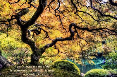 Talkin' smack aboutcha Talkin' smack aboutcha