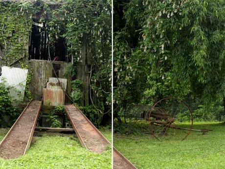 Old Farm Equipment