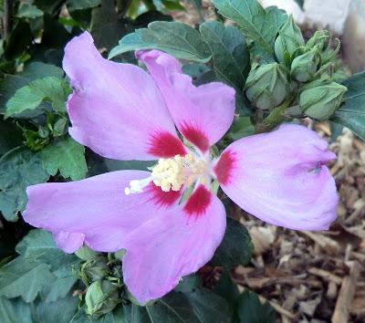 Checking In with Finished Objects Friday