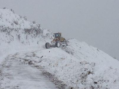 Clearing the access road