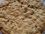 Blueberry Oatmeal Cookie