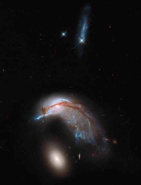 Hubble Space Telescope view of Arp 142 looking like a penguin guarding its egg