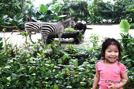 Zoo2wtmk