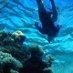 Snorkeling Spots Around World