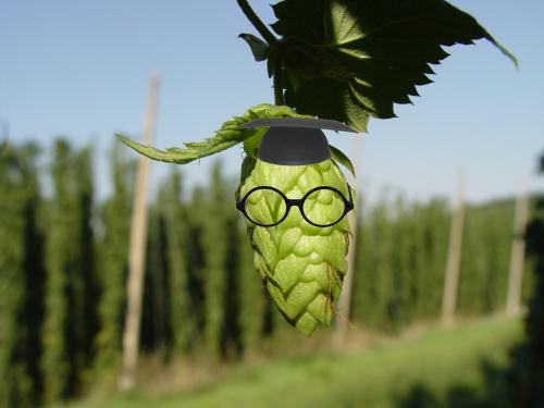hop-hop cone-hop plant-hop nerd-hop head