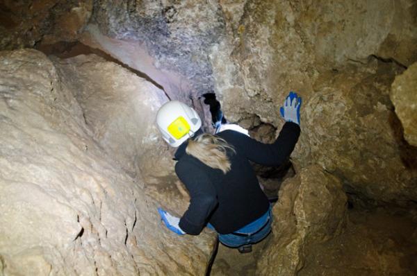 Carlsbad Cavern