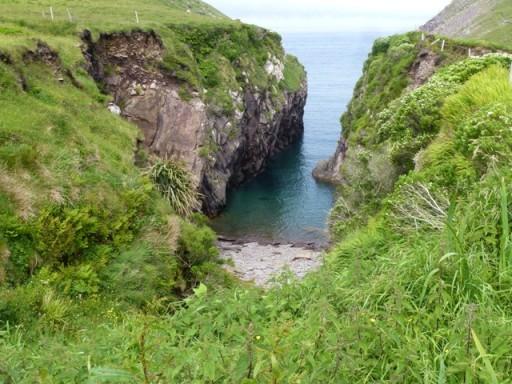 lush green coastal view 