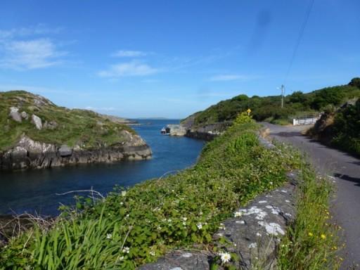 view of coastal inlet over wall and fauna