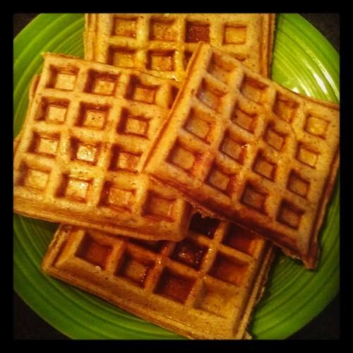 PaleoWaffles