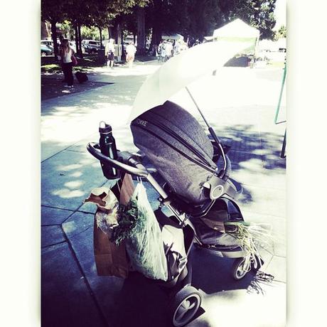 Little bits of life around here...