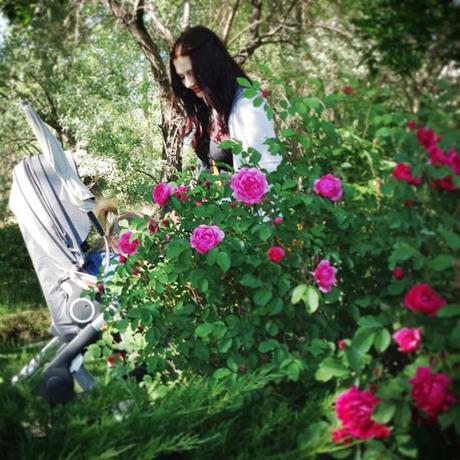 Little bits of life around here...