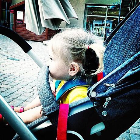 Little bits of life around here...