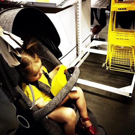 Little bits of life around here...