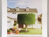 Promo Daily: Damon Casarez