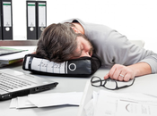 Donkey Creative Binder Pillow