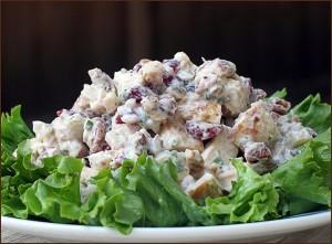 Chicken Salad with Pecans and Cranberries 300x221 Paleo Chicken Salad