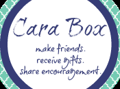 June Cara Reveal {Link