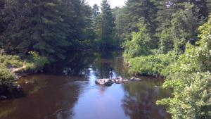 2013-06-24_09-38-50_425