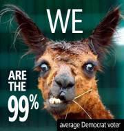 average democrat voter