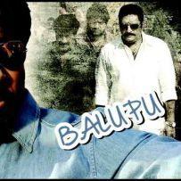 thumbs ravi teja sruthi haasan balupu wallpapers stills 5 Ravi Tejas Balupu Exclusive Wallpapers