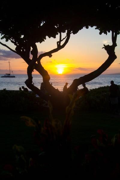 IMG 3105 400x600 Maui: One Last Sunset	