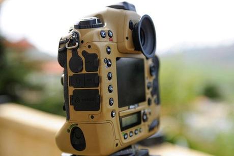 Photographer Gives His Nikon Gear a DIY Desert Mirage Lizard Paint Job GzR9Pjv