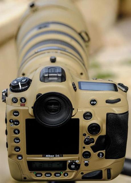 Photographer Gives His Nikon Gear a DIY Desert Mirage Lizard Paint Job ds9oSQ3