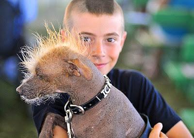 Duck-Footed Beagle Crowned Ugliest DOG in the World!