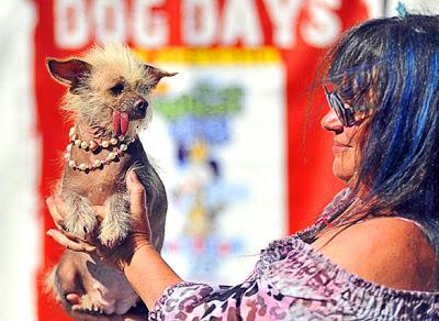 Duck-Footed Beagle Crowned Ugliest DOG in the World!